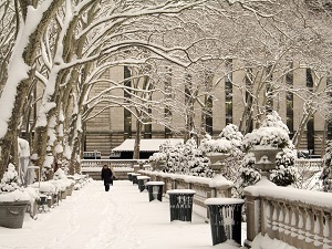 Image of person walking in NYC winter.