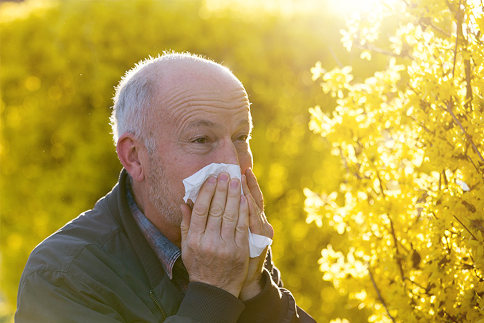 Senior man with hearing loss having allergy symptoms in springtime